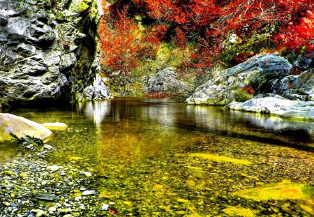 POND in AUTUMN