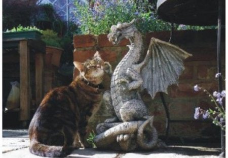 buddies - cute, buddies, dragon statue, cat in a garden