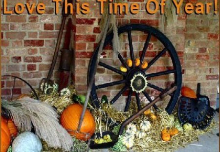 Loving the Harvest Season - fall, wagon wheel, pumpkins, decor