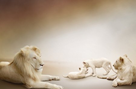 Lion Family