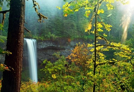 Divine nature - calm, cascades, summer, divine, stream, grass, forest, hidden, falling, sunlight, water, tree, fall, nature, waterfall, rays, green, peaceful