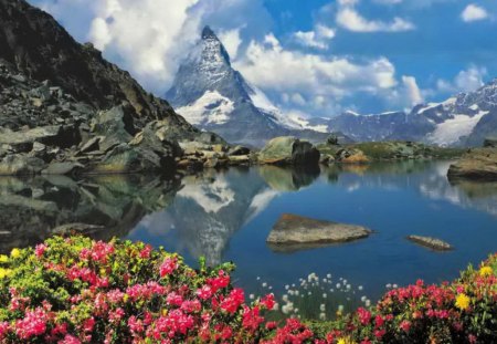 Lakescape - summer, rocks, clear, beautiful, lakeshore, nature, mountain, crystal, colorful, mirrored, flowers, stones, lakescape, serenity, shore, lake, sky, reflection, nice, clouds, lovely, calm, tranquil