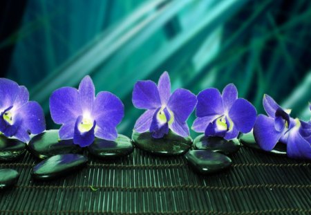 Harmony - pretty, delicate, blue, spa, photoshop, lovely, harmony, flowers, green, nice, floral