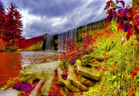 FOREST FALLS - pines, waterfalls, autumn, rock, hdr, forest