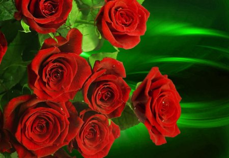 Roses beauty - nice, beauty, fresh, roses, bouquet, lovely, still life, pretty, red, photoshop, beautiful, green, harmony