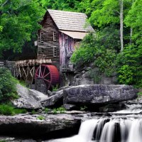 Forest mill