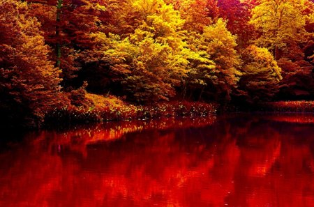 AUTUMN LAKE - lake, autumn, forest, trees