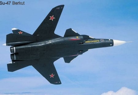 Sukhoi Su-47 Berkut - sukhoi, plane, su-47, berkut