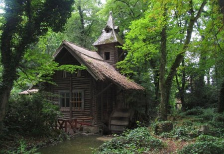 OLD WATER MILL - forests, trees, mills, waterways, buildings