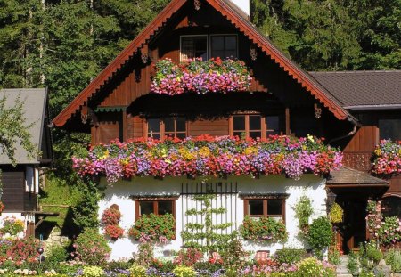 DECORATIVE BEAUTY - trees, exteriors, gardens, colourful, country homes, flowers, forests, window boxes, cottages, floral