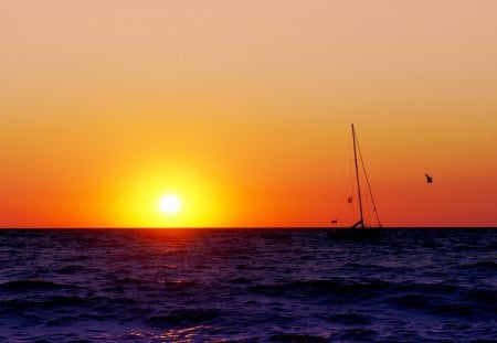 Sailing - birds, splendor, sunrise, sailboats, sailing, view, ocean waves, sky, sun, clouds, sunlight, beautiful, sea, beauty, lovely, ocean, nature, sunset, sailboat, waves, peaceful