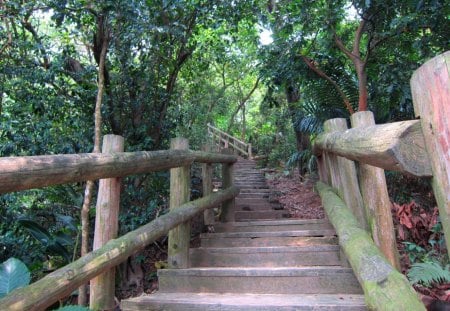 Hiking trails - hiking, plants, trails, wooden railing, surround the mountain