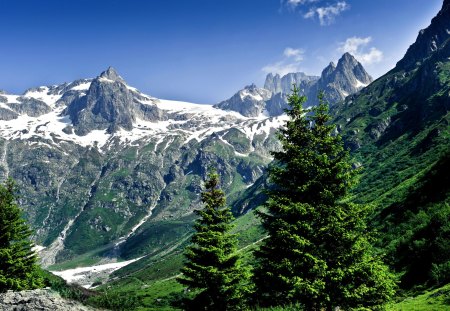 THE ALPS - nature, forest, alps, summer, mountains