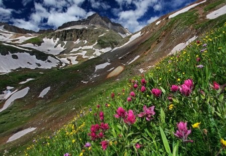 July slope - july, nice, sky, slope, freshness, greenery, meadow, field, clouds, green, snowy, grass, fresh, mountain, summer, peaks, lovely, nature, beautiful, delight, flowers, wildflowers