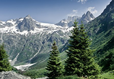 Alps - alps, nature, europe, landscape, mountain, tree