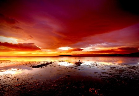 SUNSET COLORS - sky, lake, water, clouds, bay, ibis, sea, birds