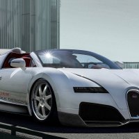 NEW Bugatti Veyron 2013
