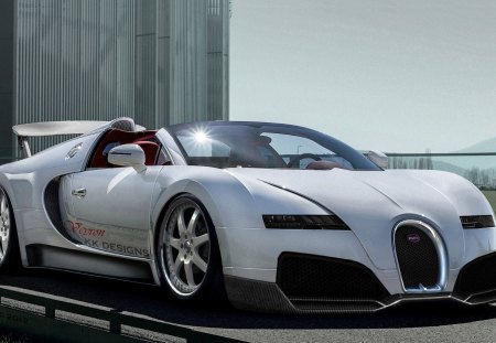 NEW Bugatti Veyron 2013