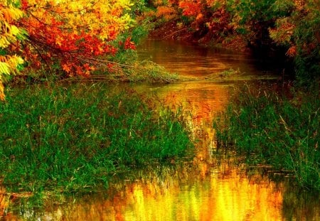 AUTUMN RIVER - nature, autumn, forest, river