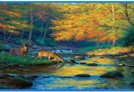 Deer Crossing - stream, water, forrest, deer