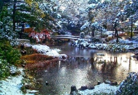 winter garden - trees, winter, blue, garden, lake, bridge