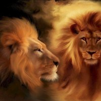 The King