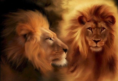 The King - lion, king, animals, cat