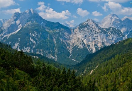 Beautiful Karwendel - trees, mountains, nature, karwendel