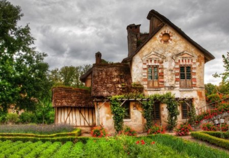 Green fields - fields, nature, green, architecture, tree, house