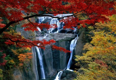 Waterfall - leaves, nature, waterfall, red