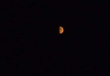 The Orange Moon - moon, evening, night, stars, black, nature, picture, half, sky