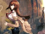 Makise Kurisu Heart