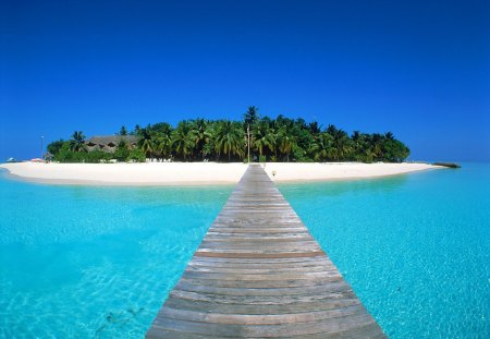 ~ Maldives ~ - maldives, sand, trees, sea