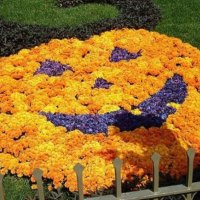 Pumpkin made of Mums