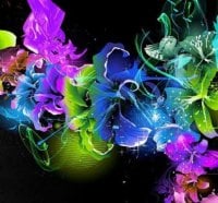 Colorful Abstract Flowers