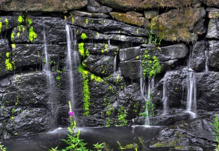 SOUTH FORD FALLS - moss, stone, close up, falls