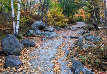 Nature Trail Next to Onaping Falls, Ontario, Canada - forest, rock, path, canada, leaves, daylight, falls, sky, trail, ontario, trees, nature, colors, day, autumn