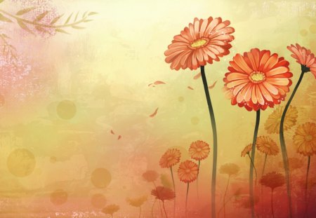 Gerbera dreams - autums, flowers, abstract, nature, summer, hd, gerbera, wallpaper