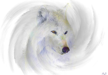 white wolf - white, wolf, forest, wild