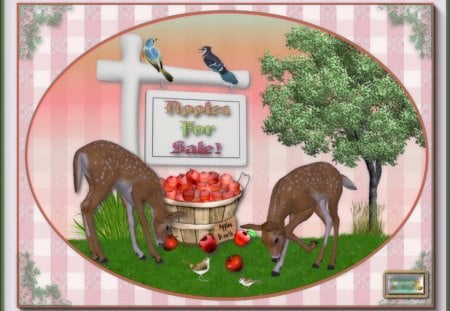 Apples For Sale - fawns, autumn, animals, deer, apples