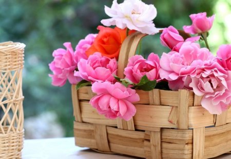 BASKET OF HAPPINESS - flowers, roses, wicker, outdoors, floral, pink