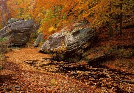 Autumn - nature, pond, autumn, red, forest, rust