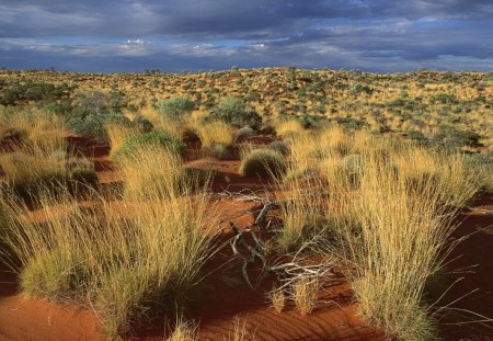 Arid Land - arid, nature, sky, clouds, field, land, storm