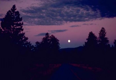 Moon Over A Canyon - moon, trees, canyon, sky