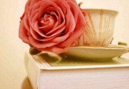 Rose with Book - flower, saucer, cup, book