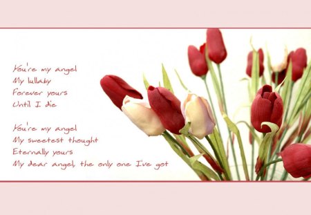 2 Things Girls â™¥ - poems, tulips, nice, work