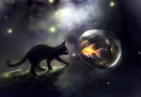 A Fantasy World - black cat, sky, black, fantasy, in, cgi, dark, cute, stars, cat, black kitten, night, space, bubble, kitten, on, galaxy, fish