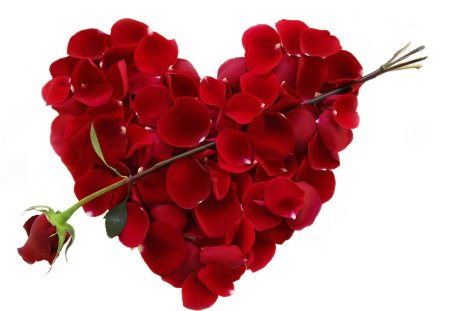 Heart of petals - roses, heart, passion, red, romance, love, petals