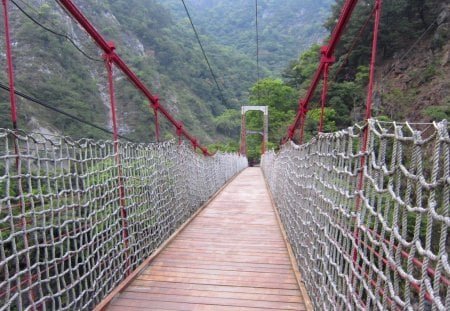 Suspension bridge - suspension bridge, nature, mountain, hiking