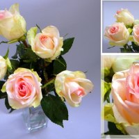 Gorgeous pink roses for my friends here on DN !